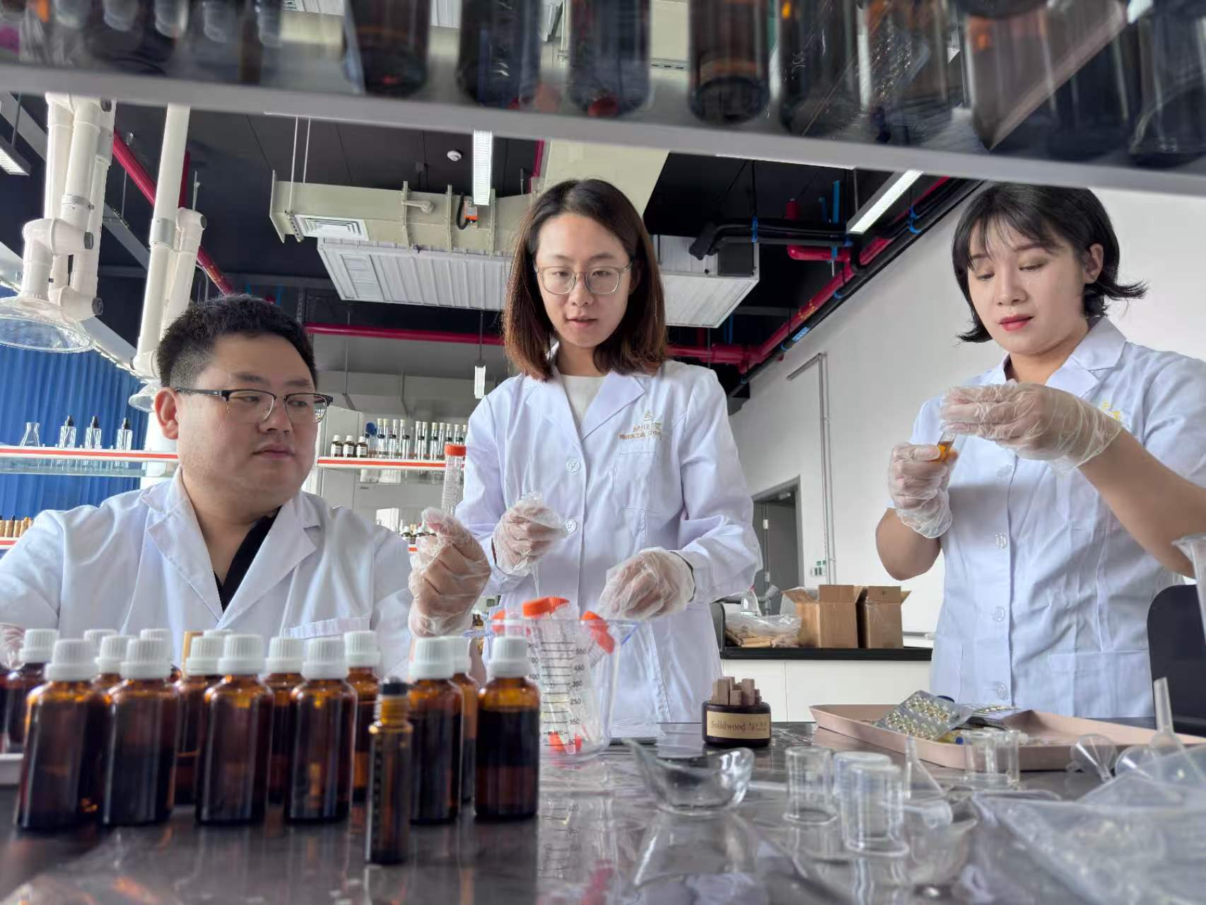 产品标准化研制